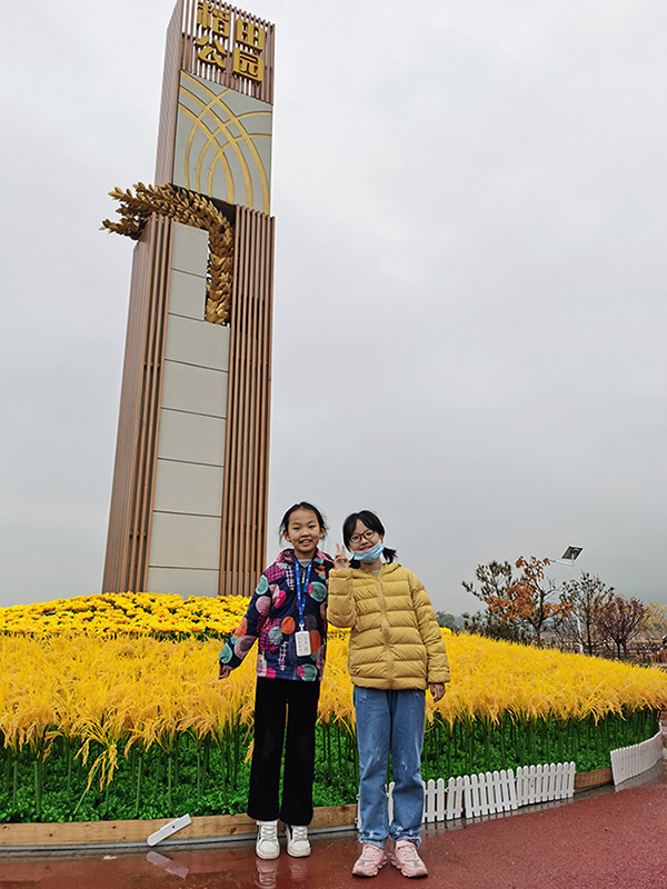 游晋祠花塔稻田公园