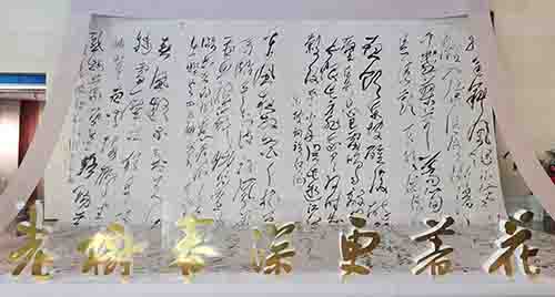 田树苌书法艺术展在太原美术馆开展