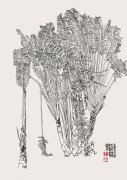 旅人蕉（53cmX38cm）1990年