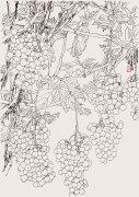 葡萄（53cmX38cm）1990年
