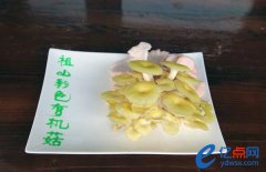 有机菇