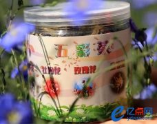 五色养生茶