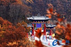 乘车线路