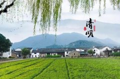 清明为什么要回乡扫墓?